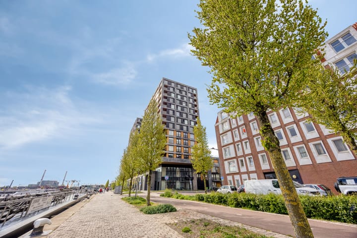 Foto 4 van Maashaven N.z. 667