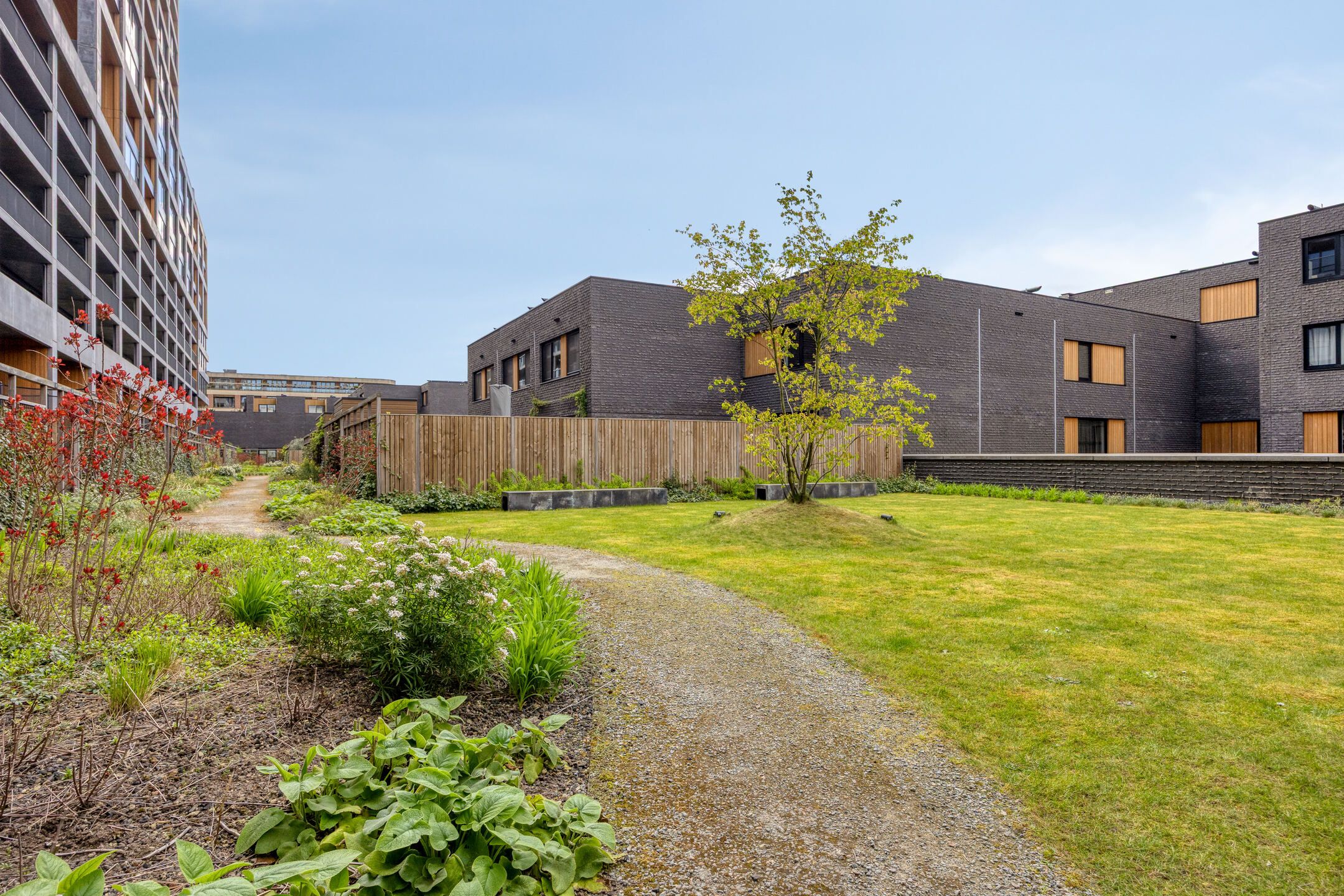 Foto 24 van Maashaven N.z. 667