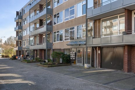 Nicolaas Maesstraat thumbnail