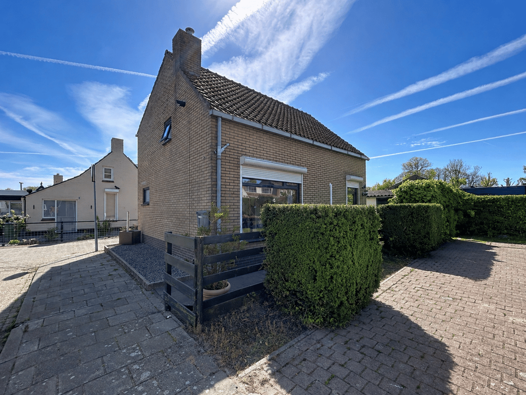 Foto 1 van Oesterpad 1