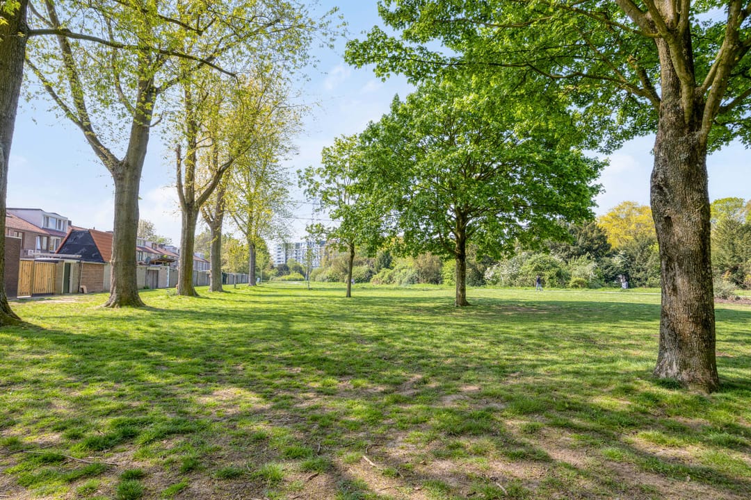 Foto 38 van van Aitzemastraat 16