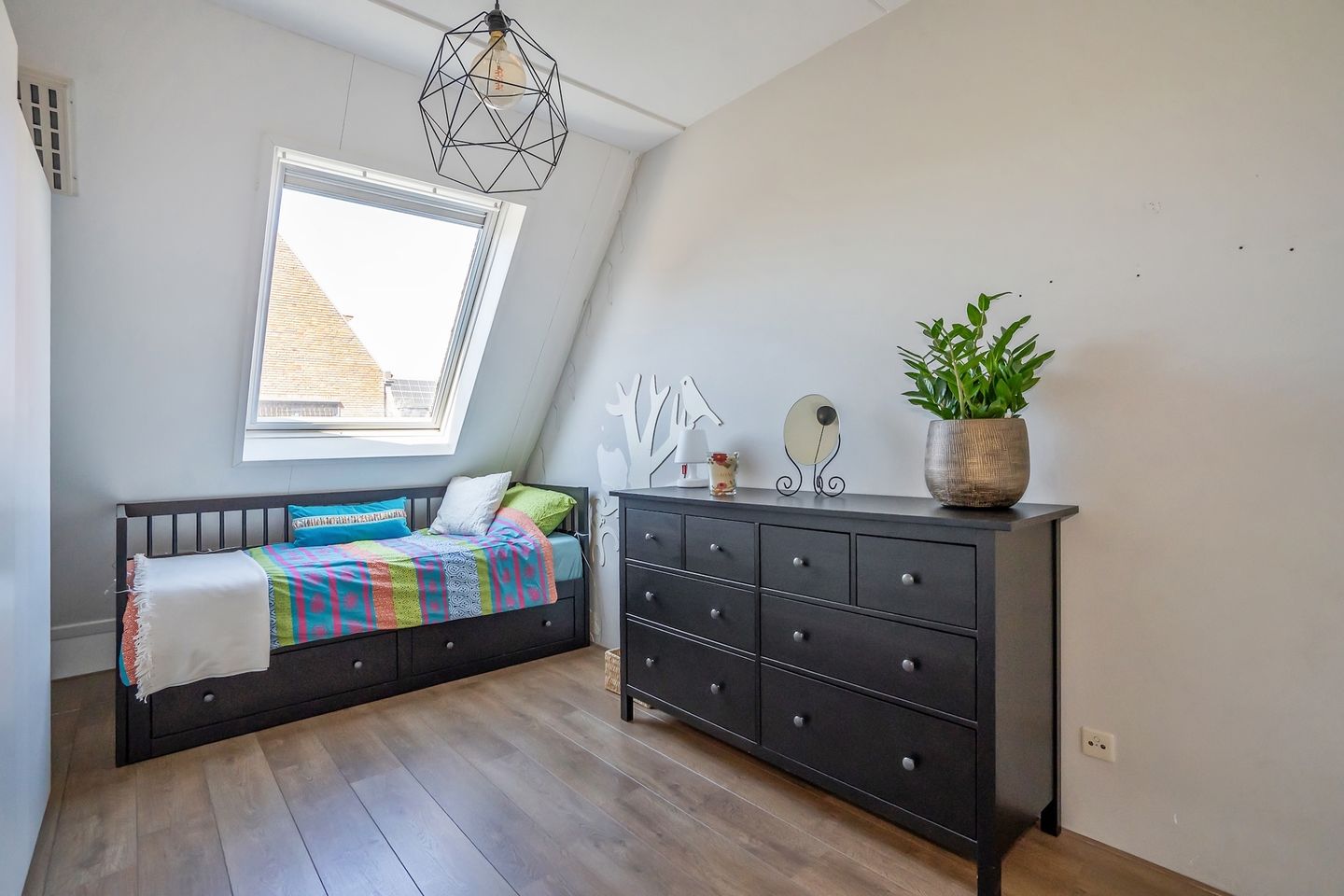 Foto 29 van Rietgras 17