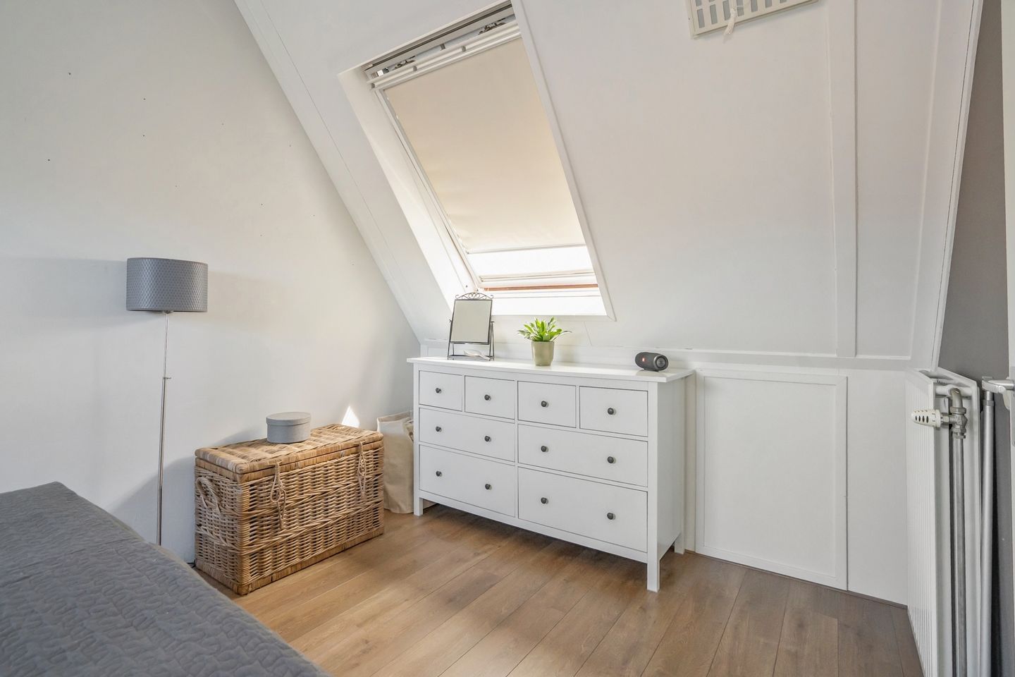 Foto 34 van Rietgras 17