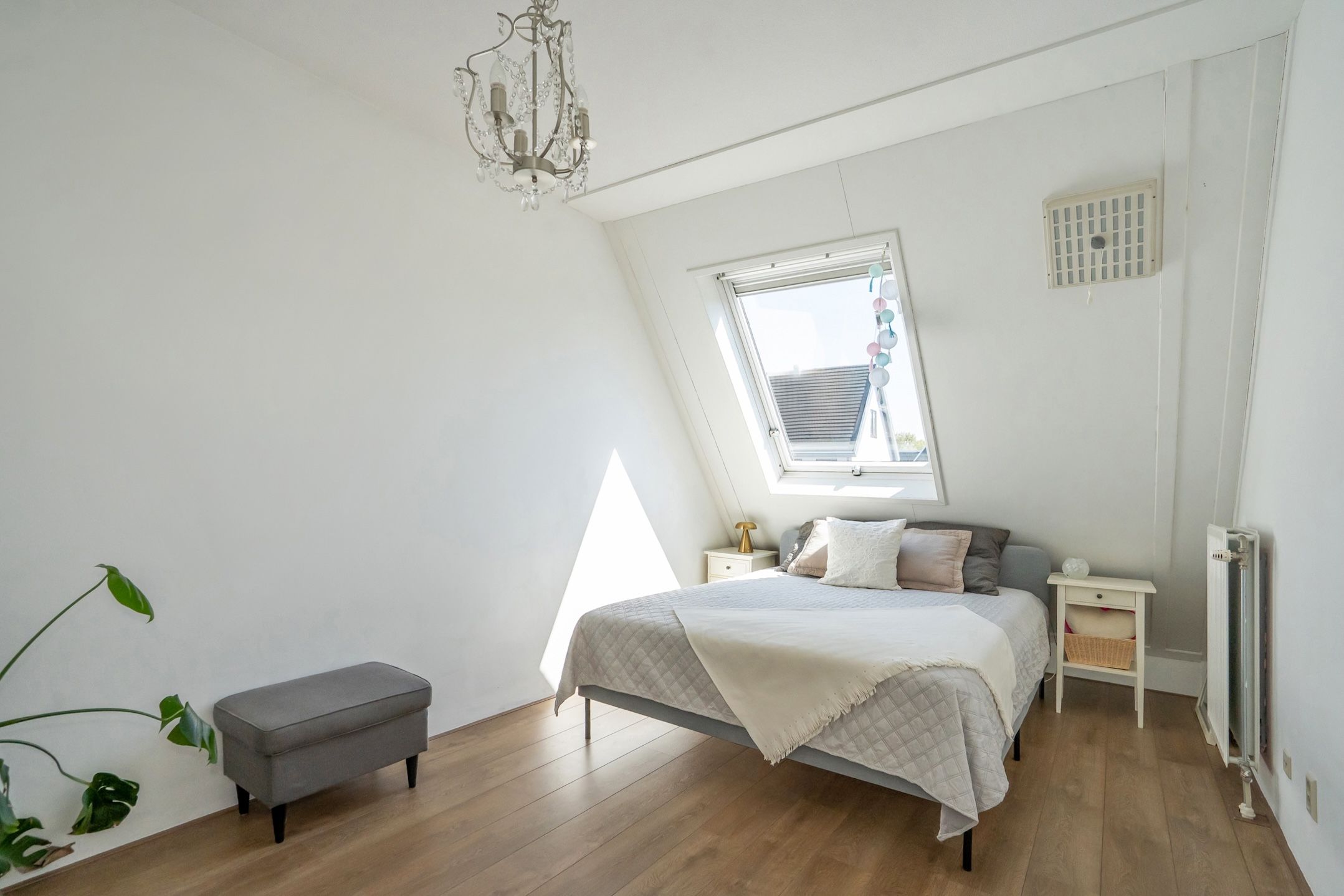 Foto 24 van Rietgras 17