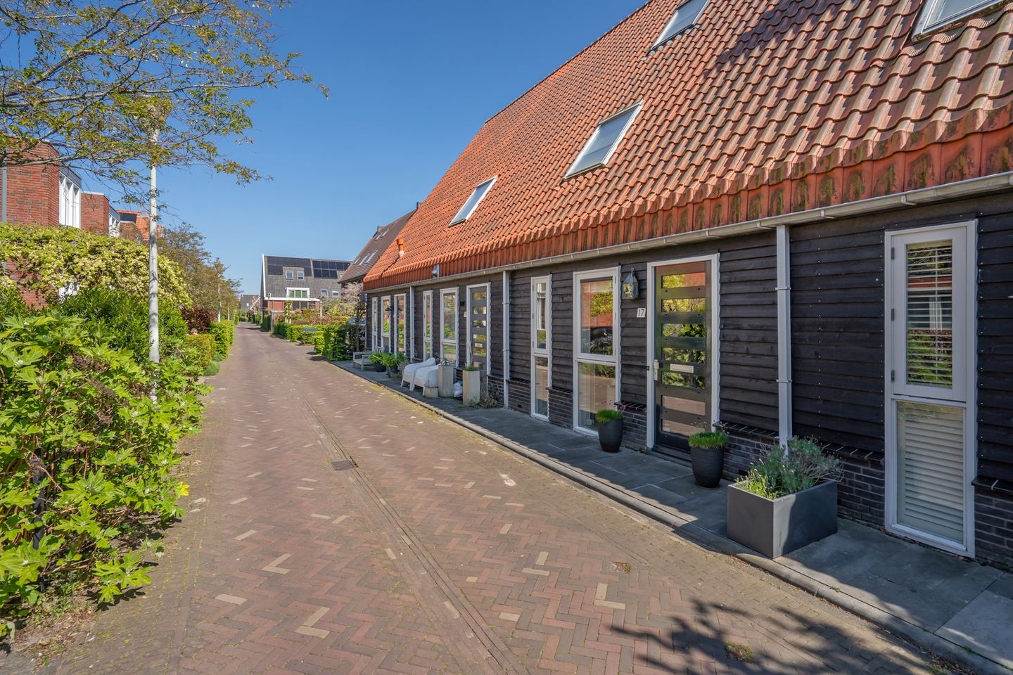 Foto 5 van Rietgras 17