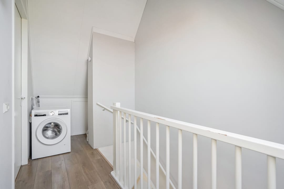 Foto 31 van Rietgras 17