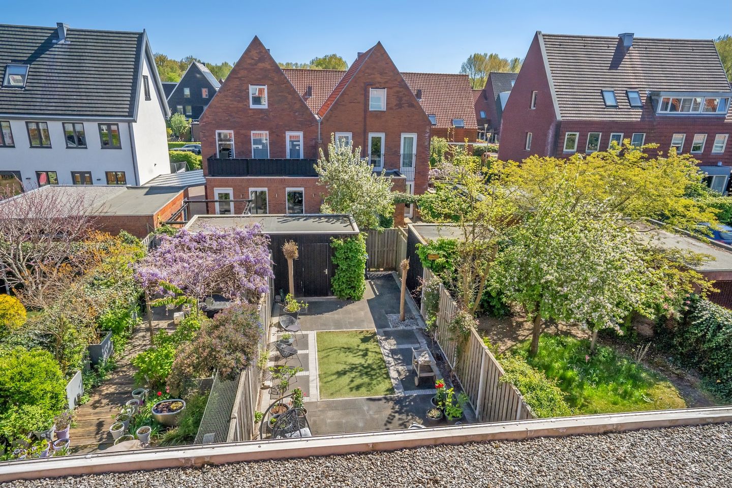 Foto 35 van Rietgras 17