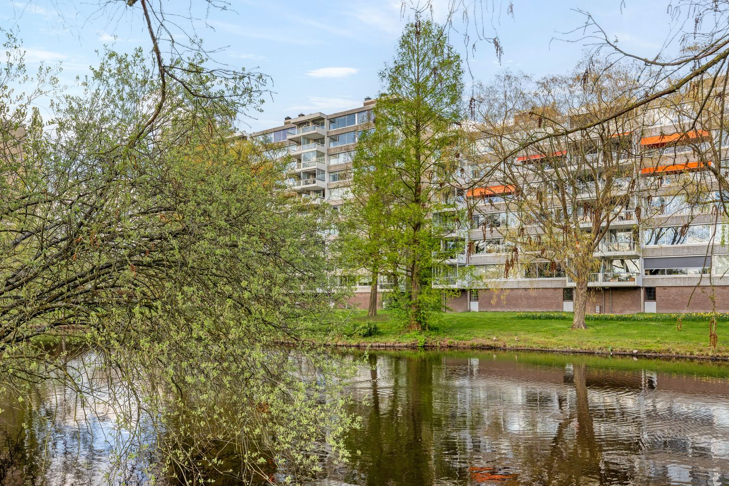 Foto 19 van Veenbesstraat 240