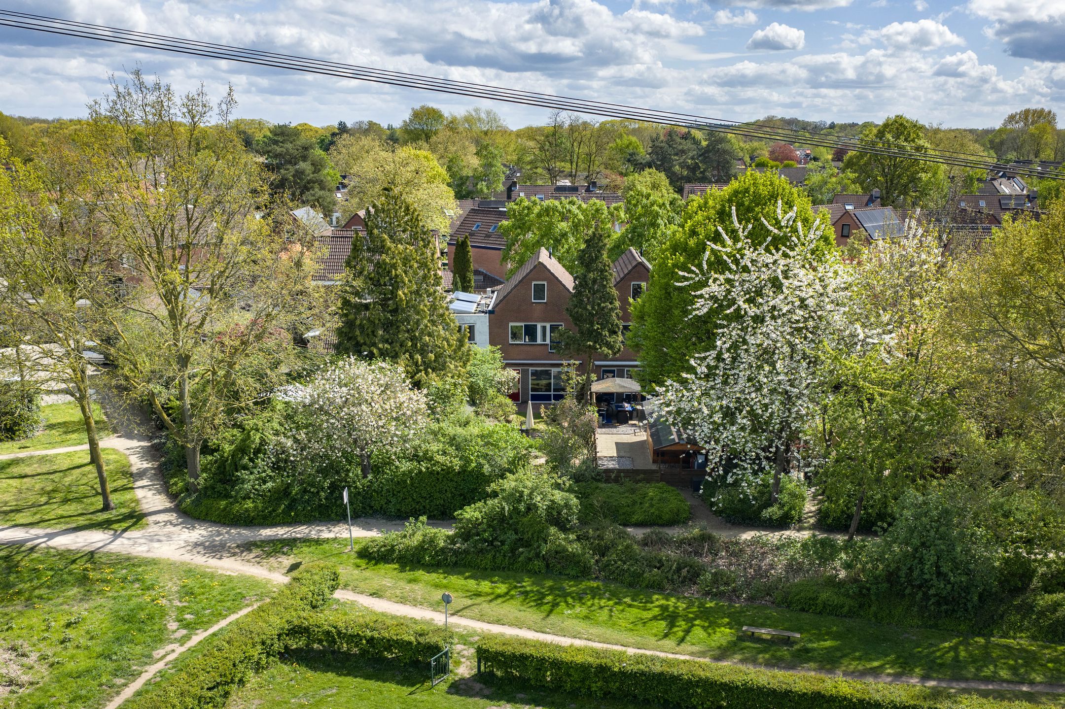 Foto 39 van Waterhoen 39
