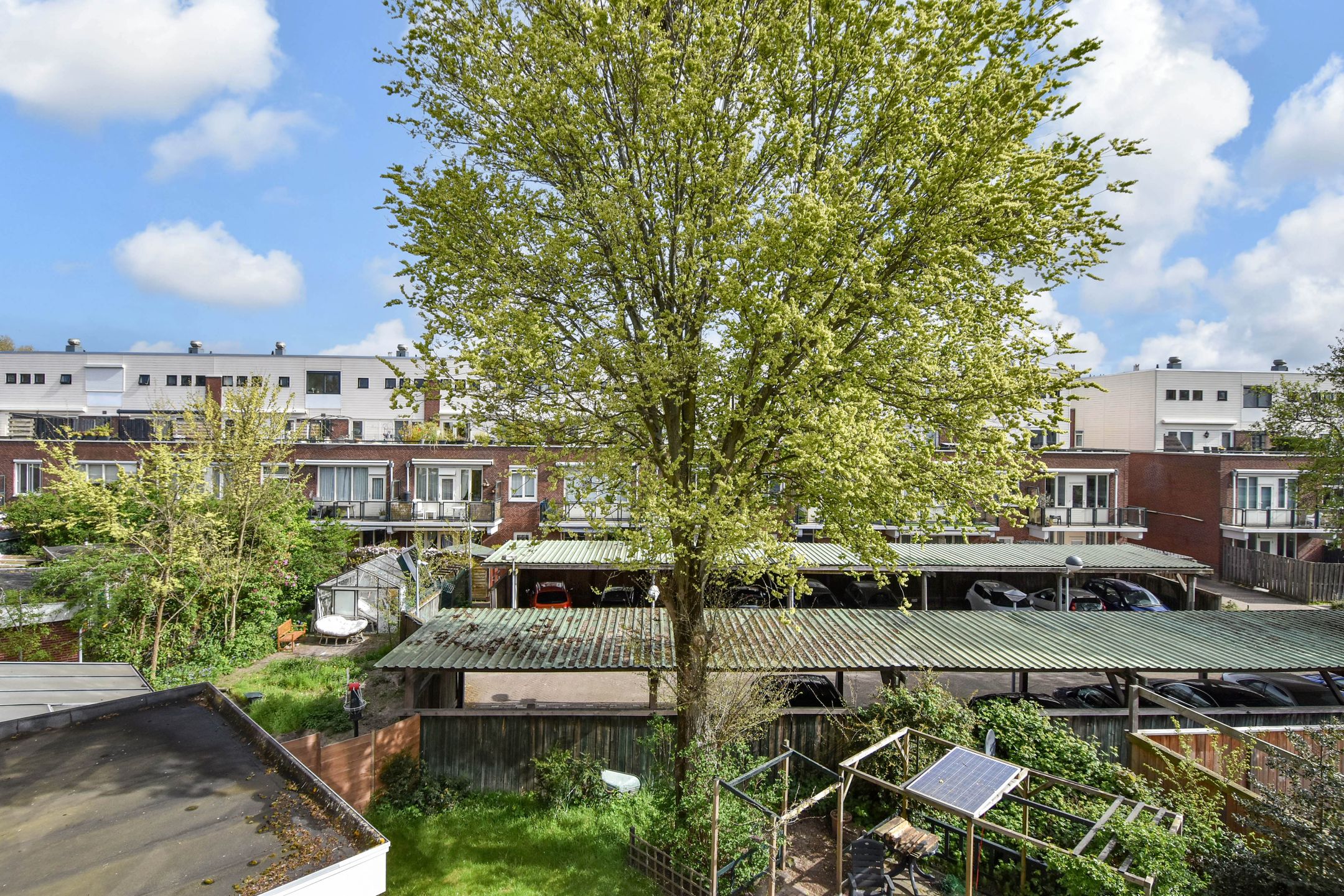 Foto 36 van Albert Termotestraat 34