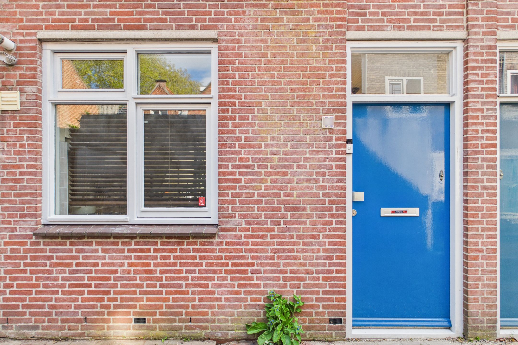 Photo 6 of Rozemarijnstraat 12