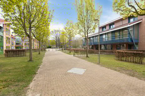 Hendrik Munniklaan thumbnail