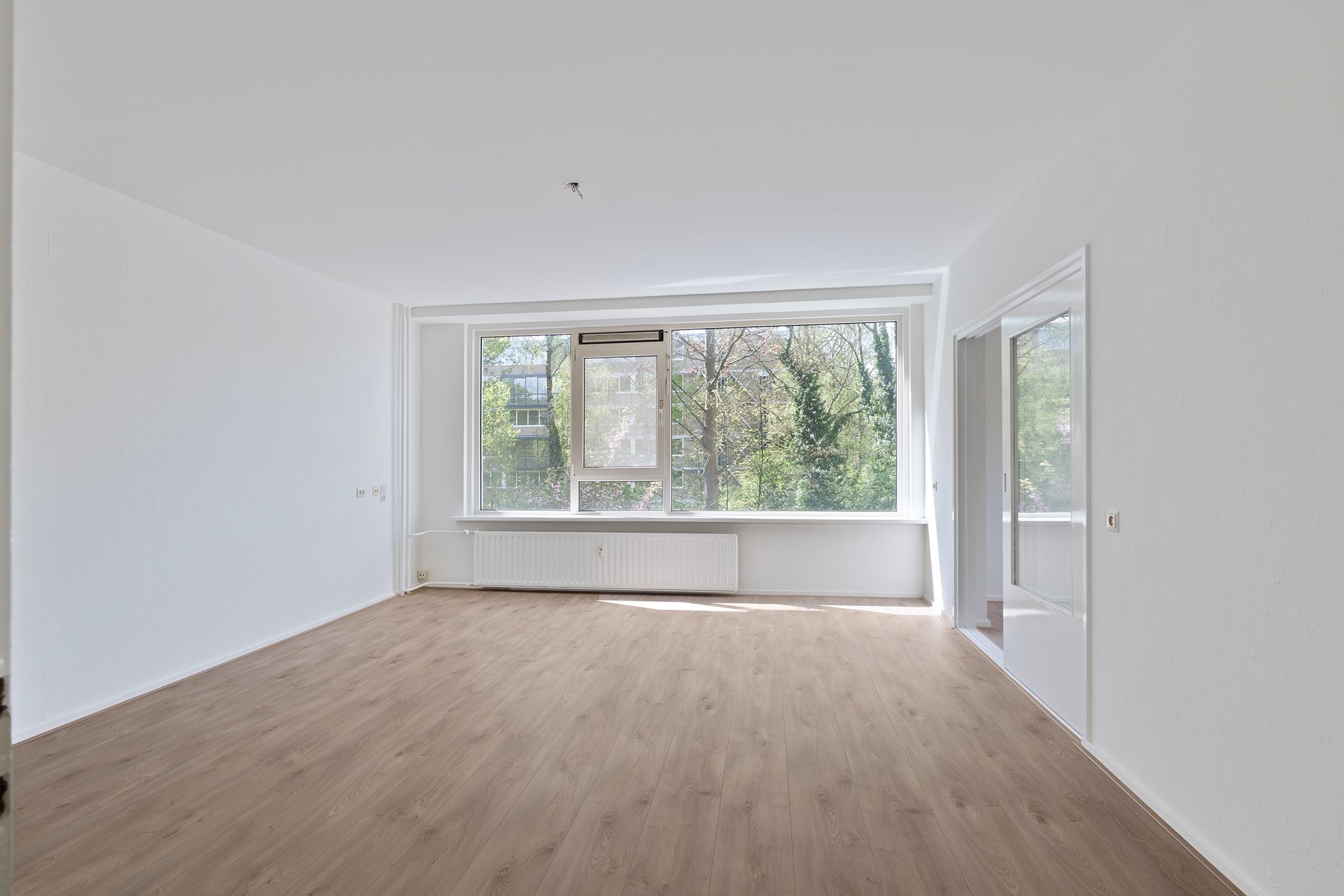 Photo 3 of Kreileroord 29