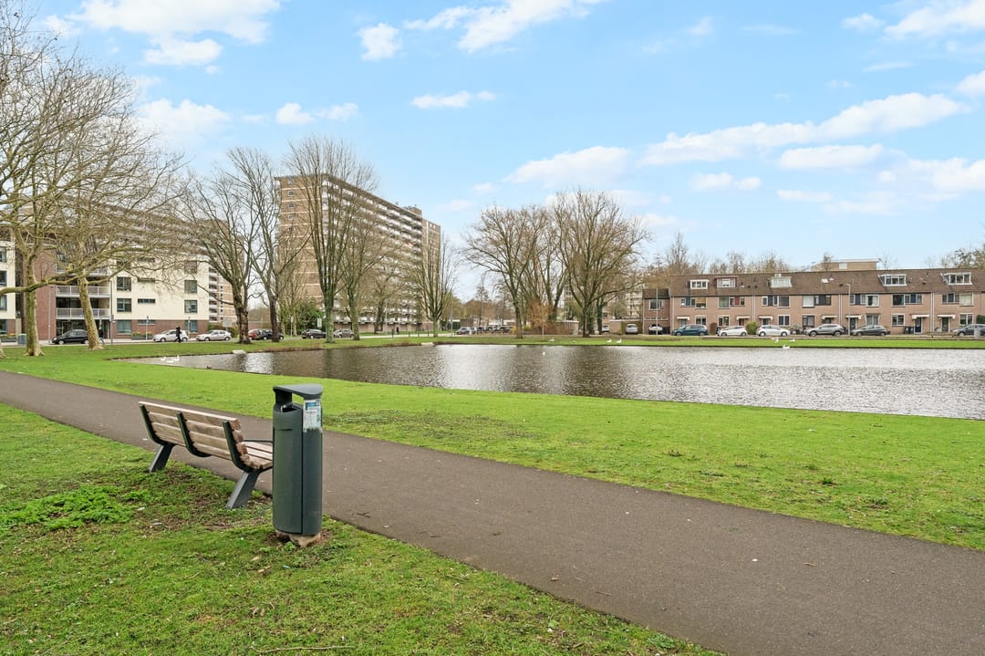 Photo 13 of Kreileroord 29