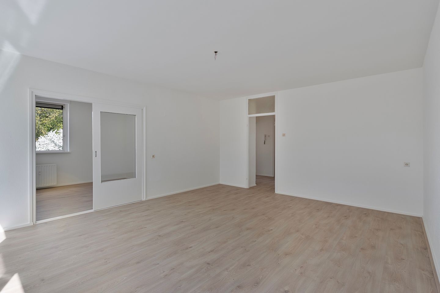 Photo 4 of Kreileroord 29