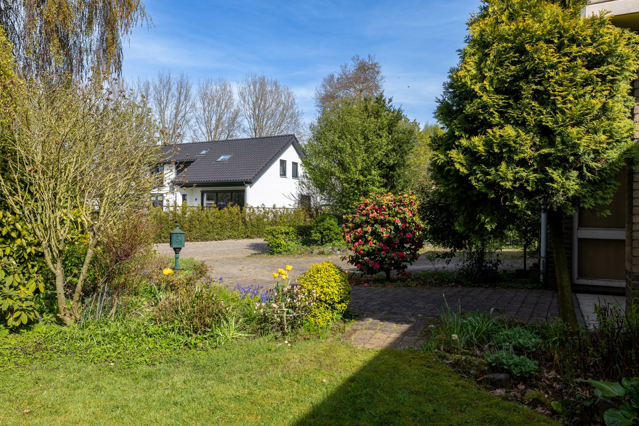 Photo 3 of Boerenerf 11