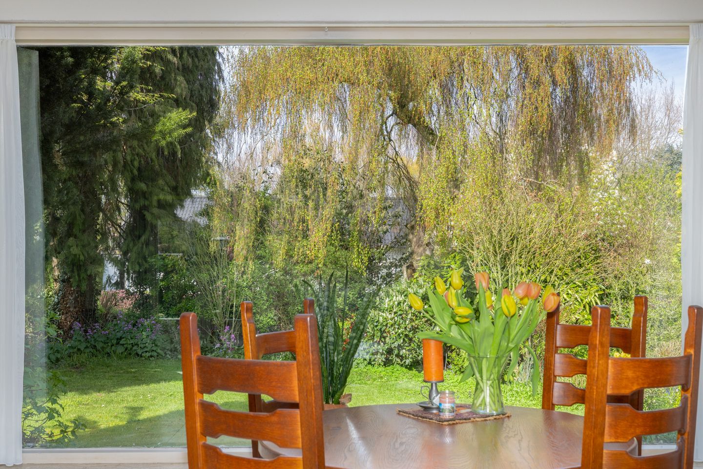 Photo 10 of Boerenerf 11