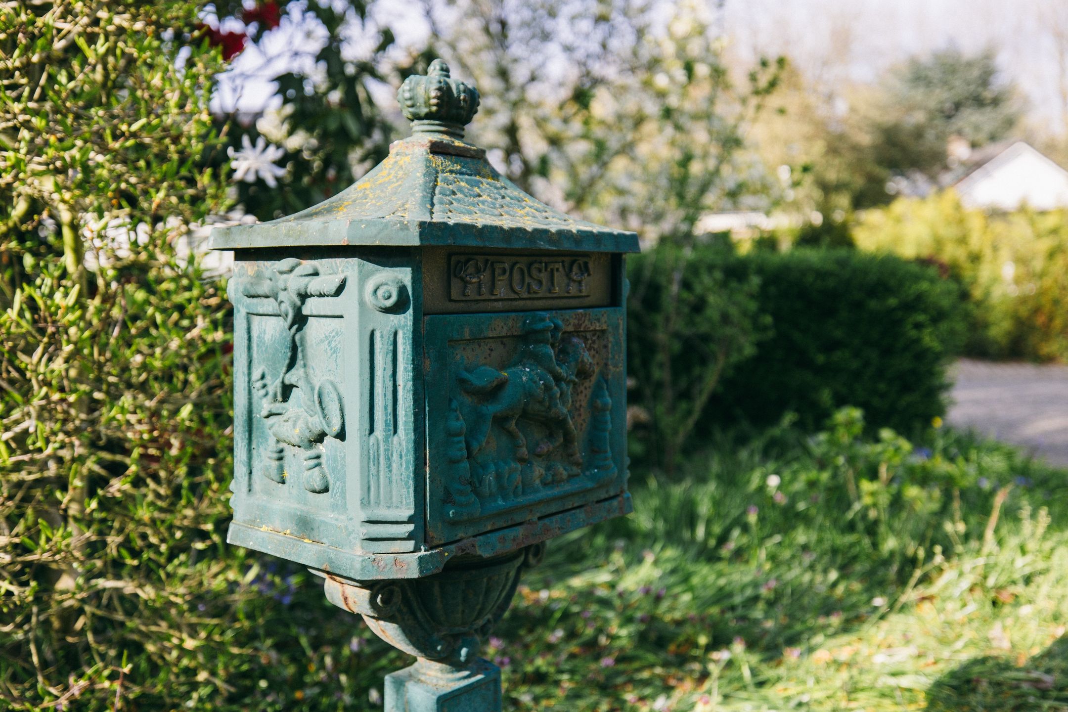 Photo 51 of Boerenerf 11