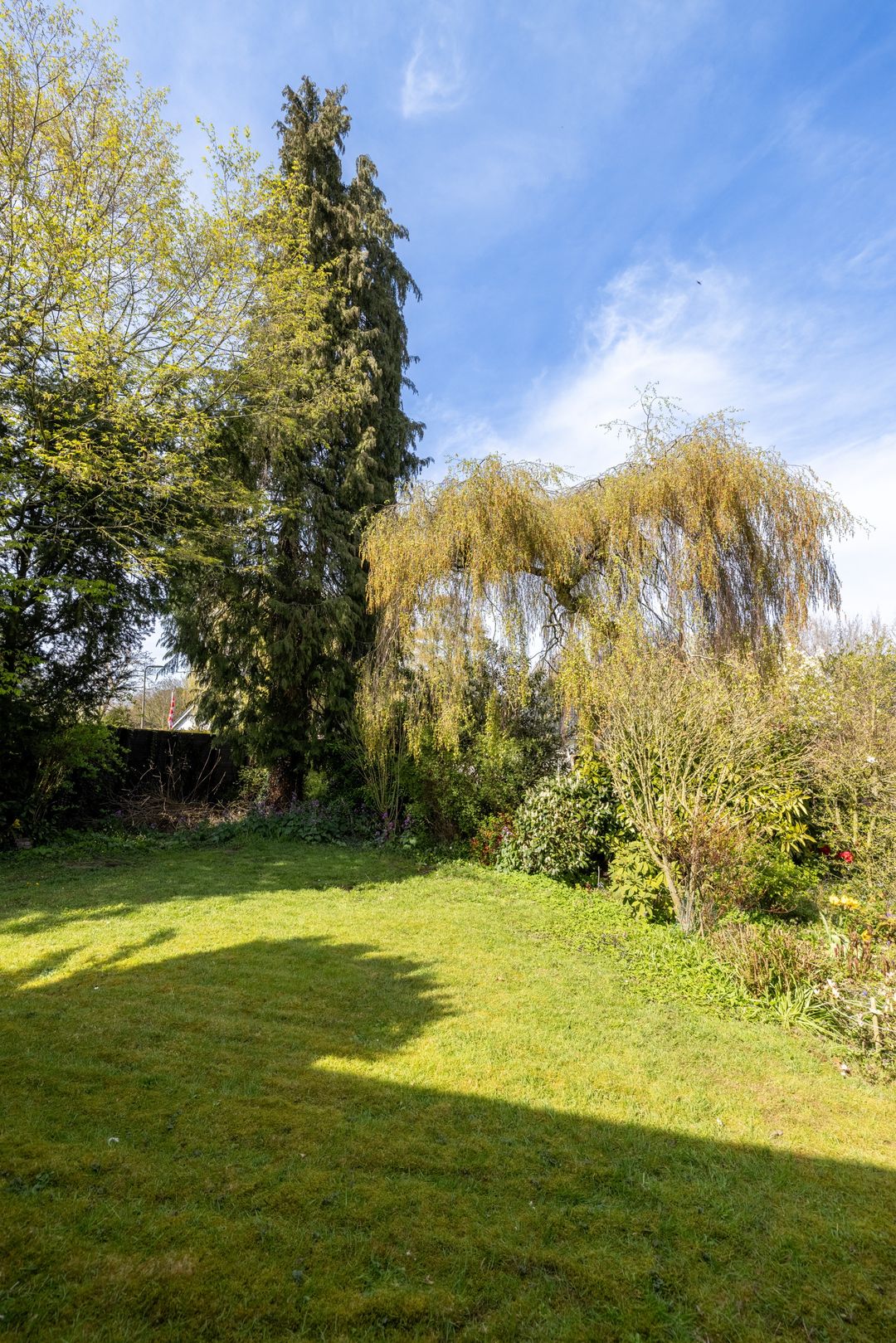 Photo 11 of Boerenerf 11