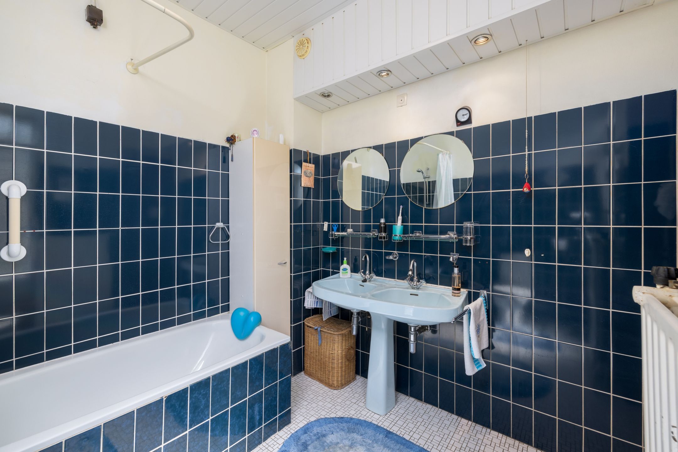 Photo 45 of Boerenerf 11