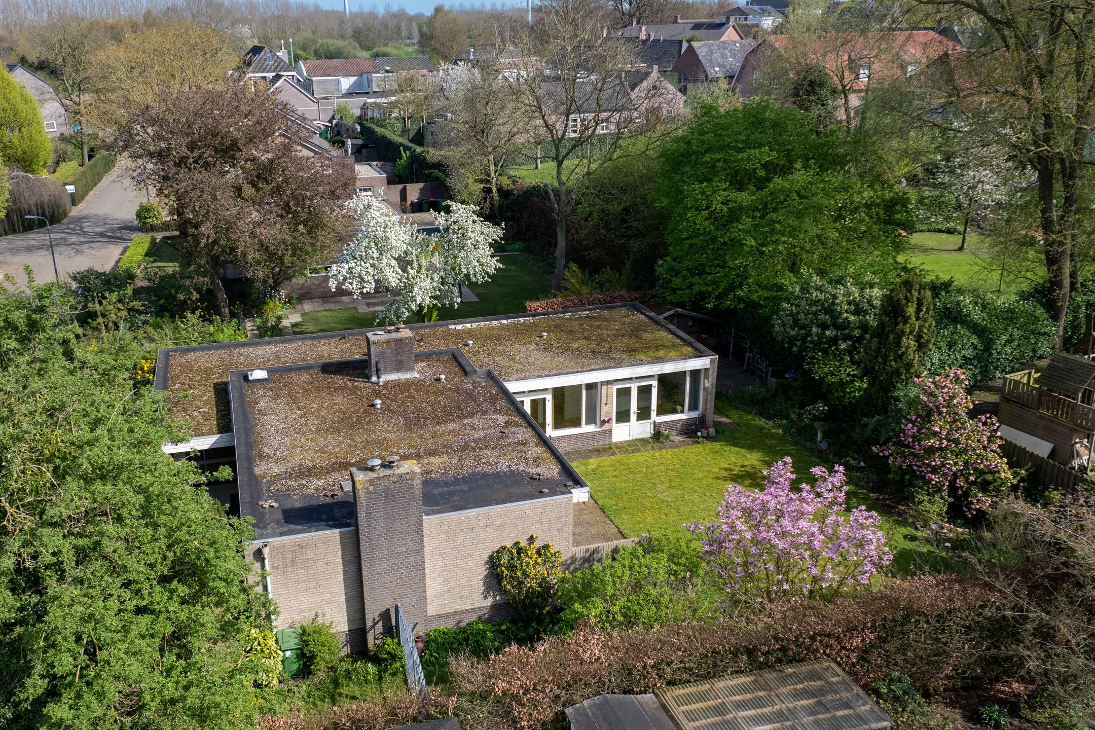 Photo 27 of Boerenerf 11