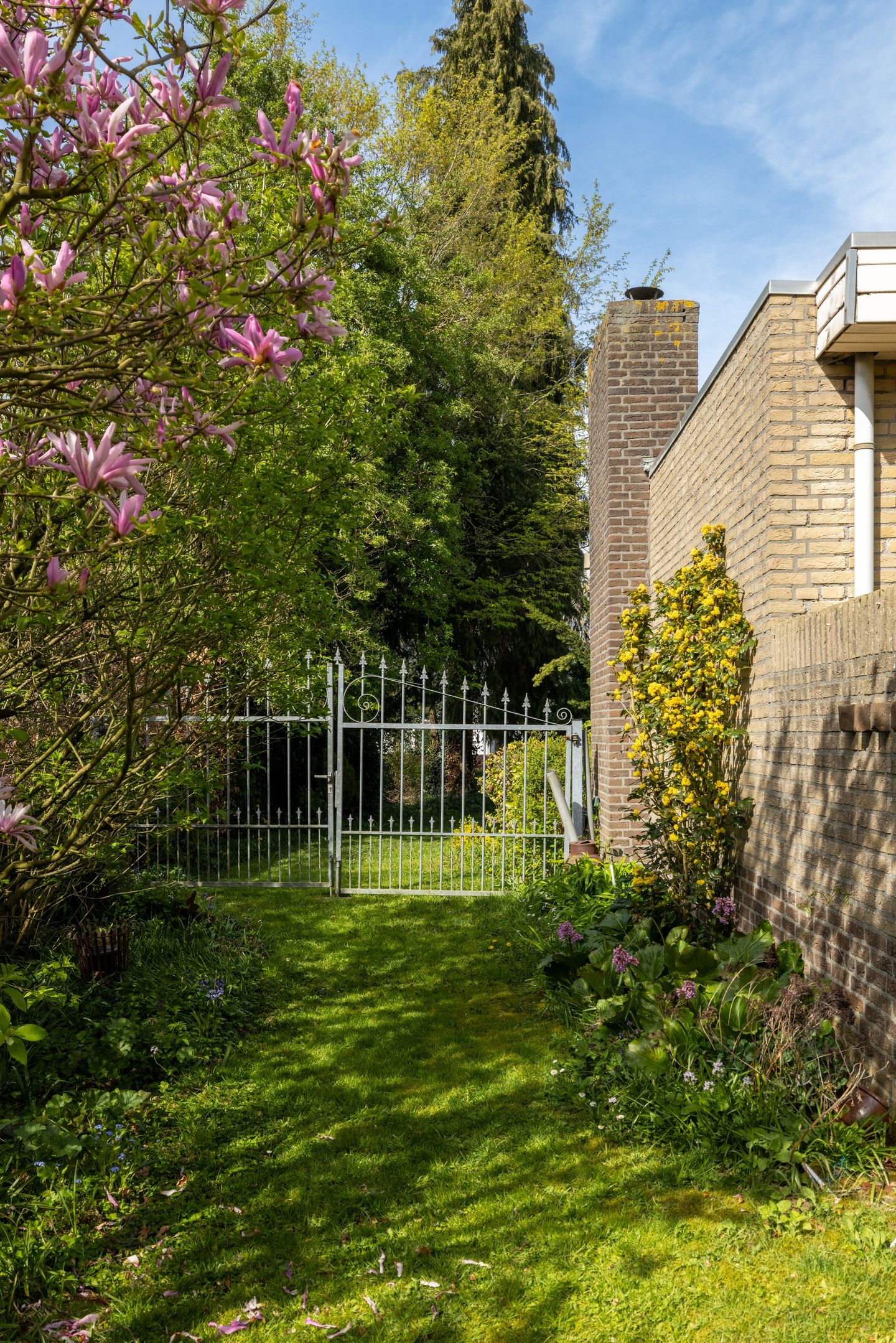 Photo 29 of Boerenerf 11