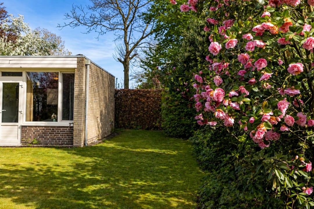 Photo 28 of Boerenerf 11