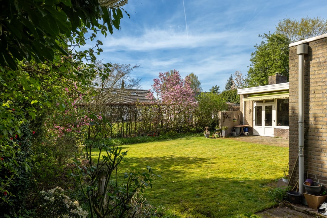 Photo 26 of Boerenerf 11