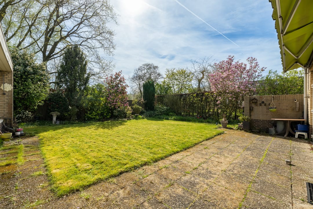 Photo 38 of Boerenerf 11