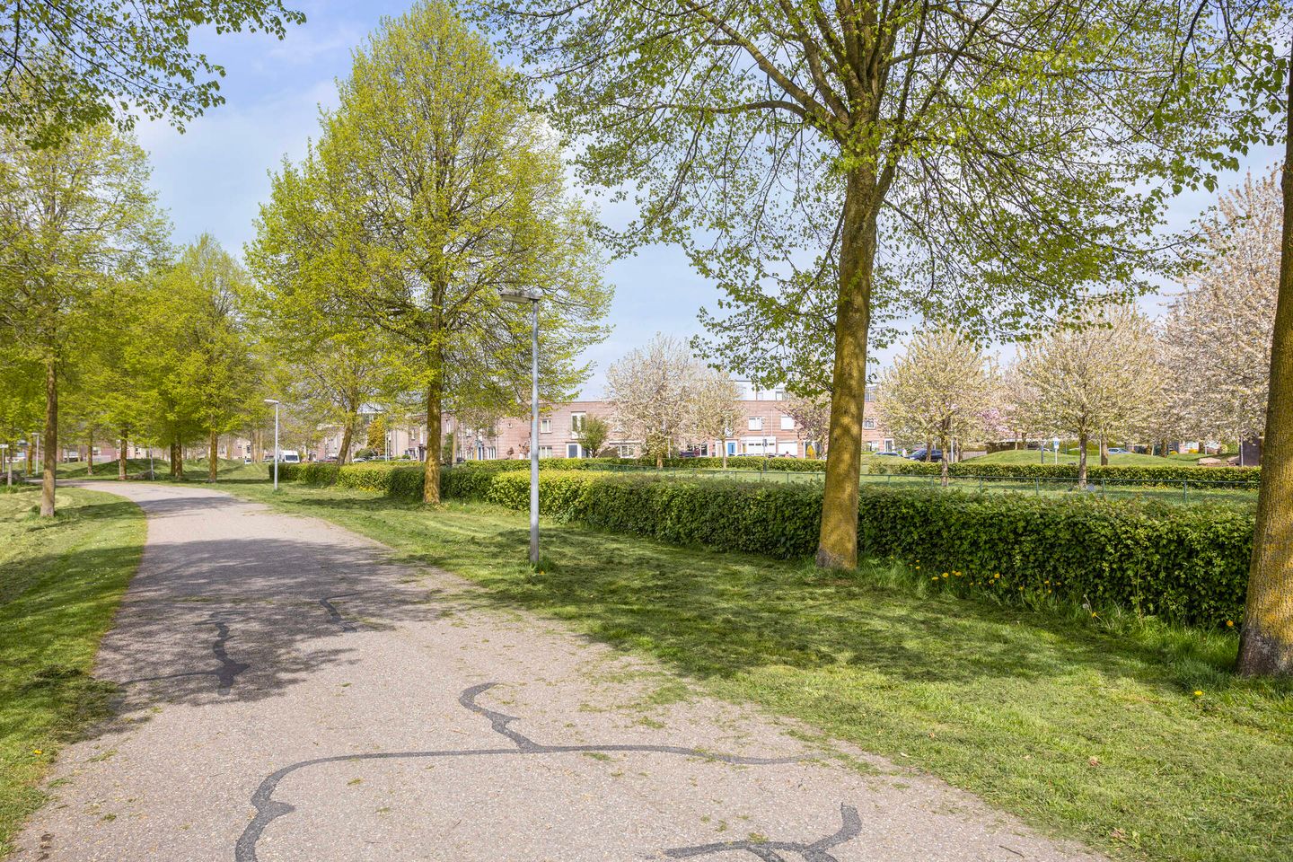 Foto 35 van de Flier 3507