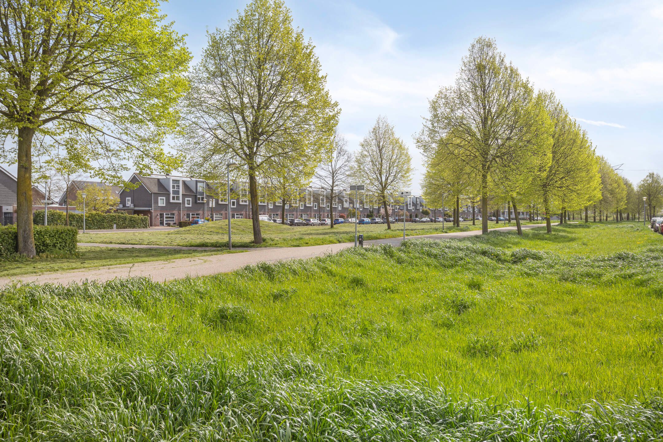 Foto 36 van de Flier 3507