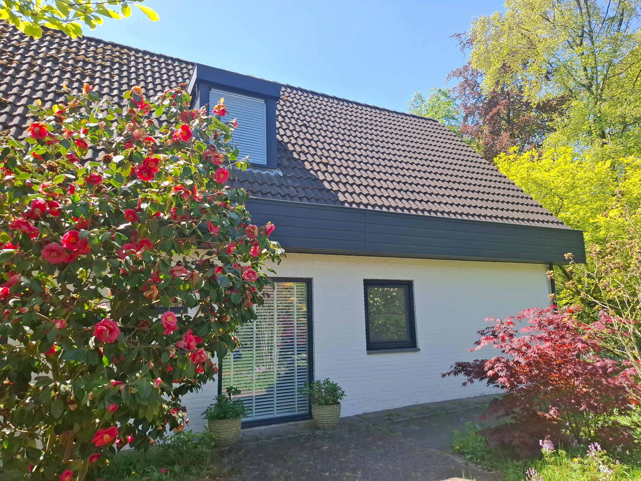 Breedschotsestraat 12 