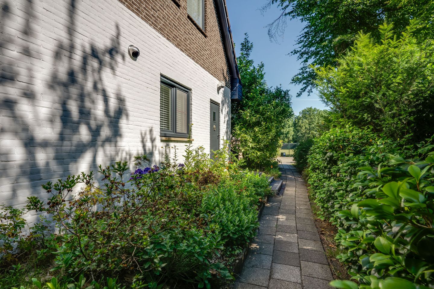 Photo 14 of Breedschotsestraat 12