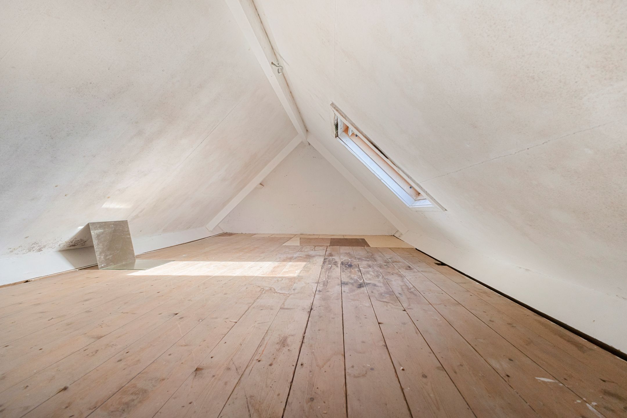 Photo 21 of Zuidstraat 84