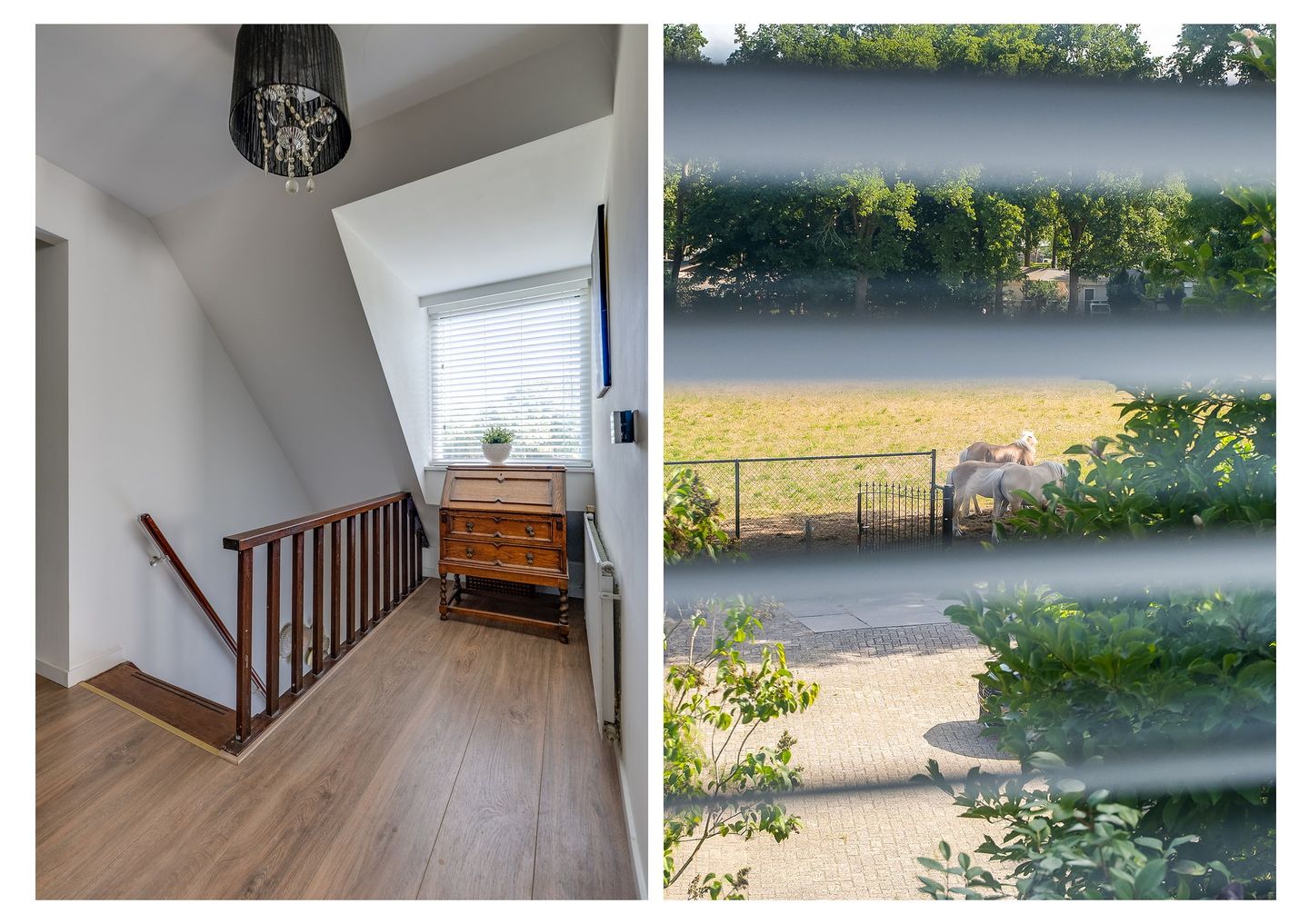 Photo 35 of Breedschotsestraat 12