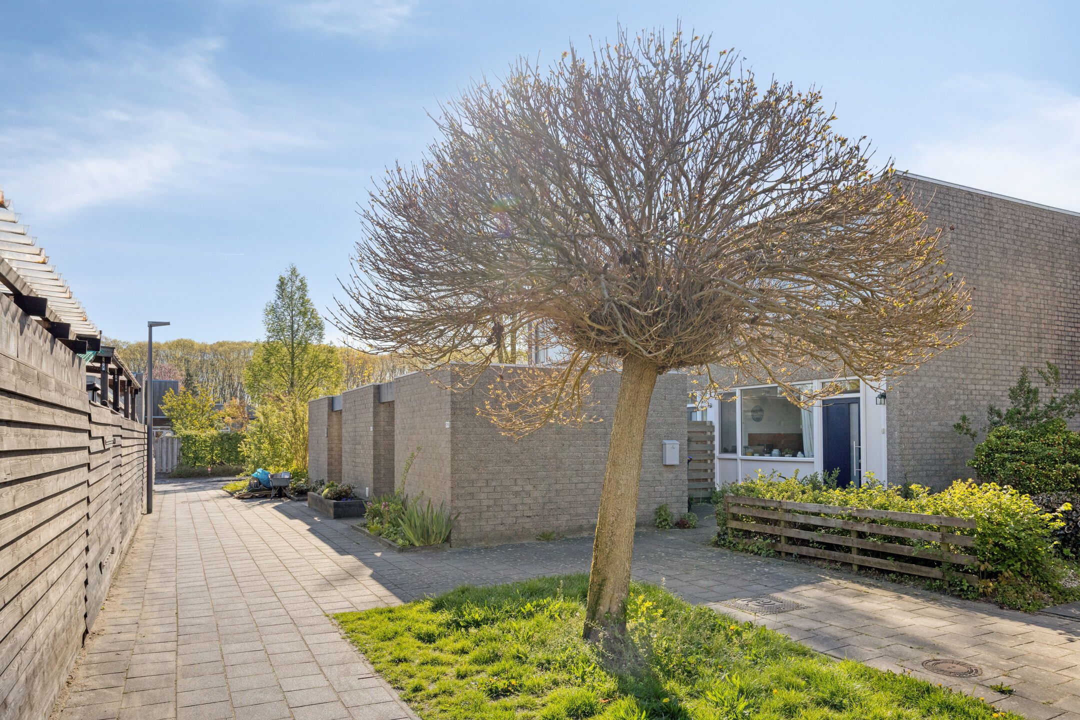 Foto 3 van Spirealaan 176