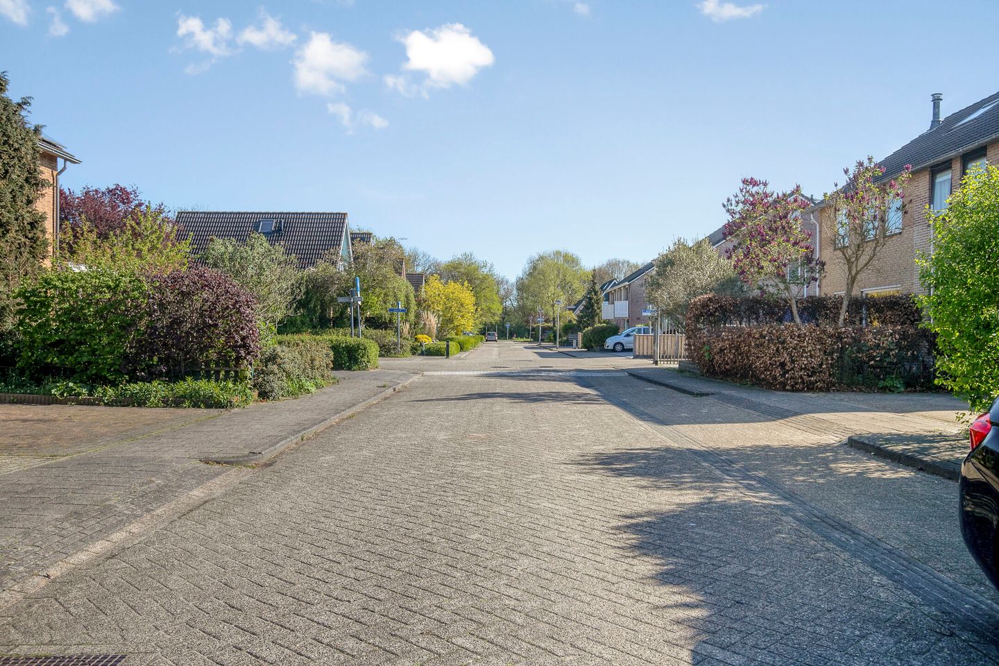 Photo 5 of Wold 20 5