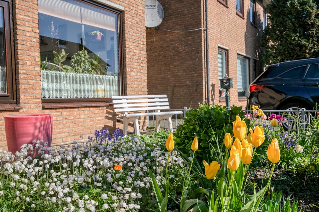 Photo 8 of Wold 20 5