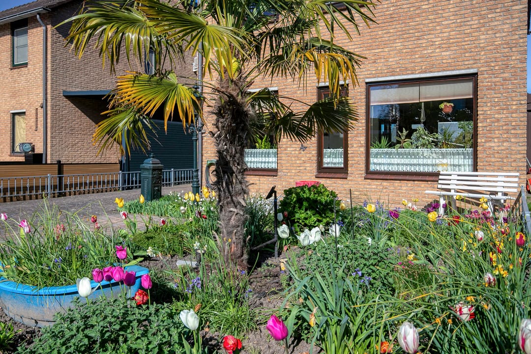 Photo 7 of Wold 20 5