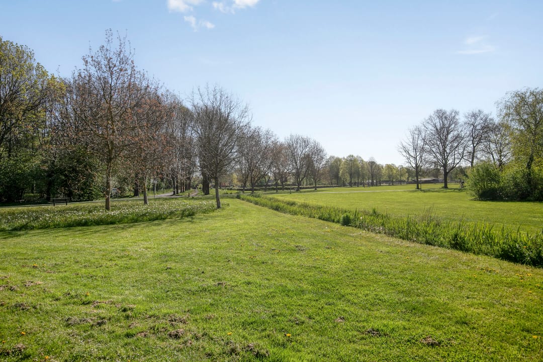 Photo 41 of Wold 20 5