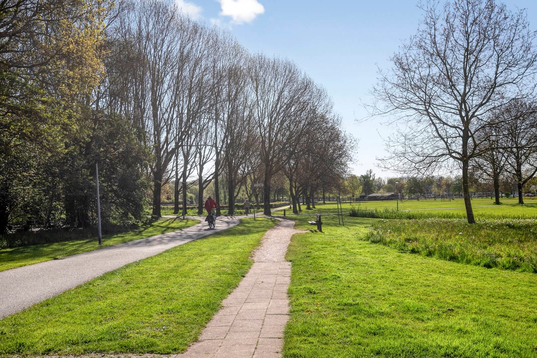 Photo 43 of Wold 20 5