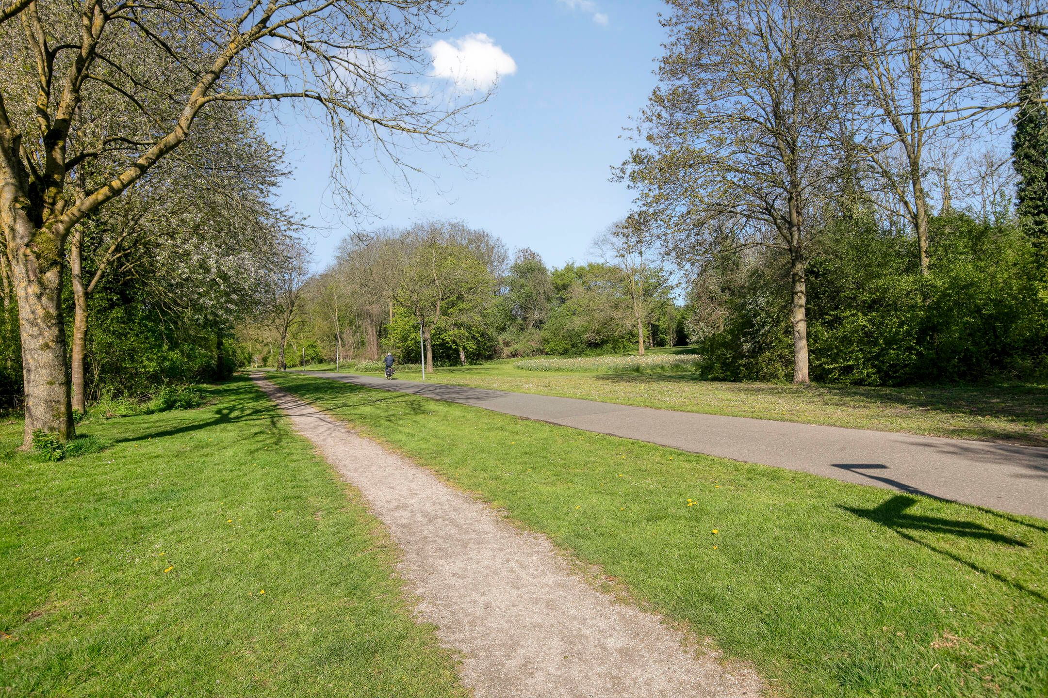 Photo 42 of Wold 20 5