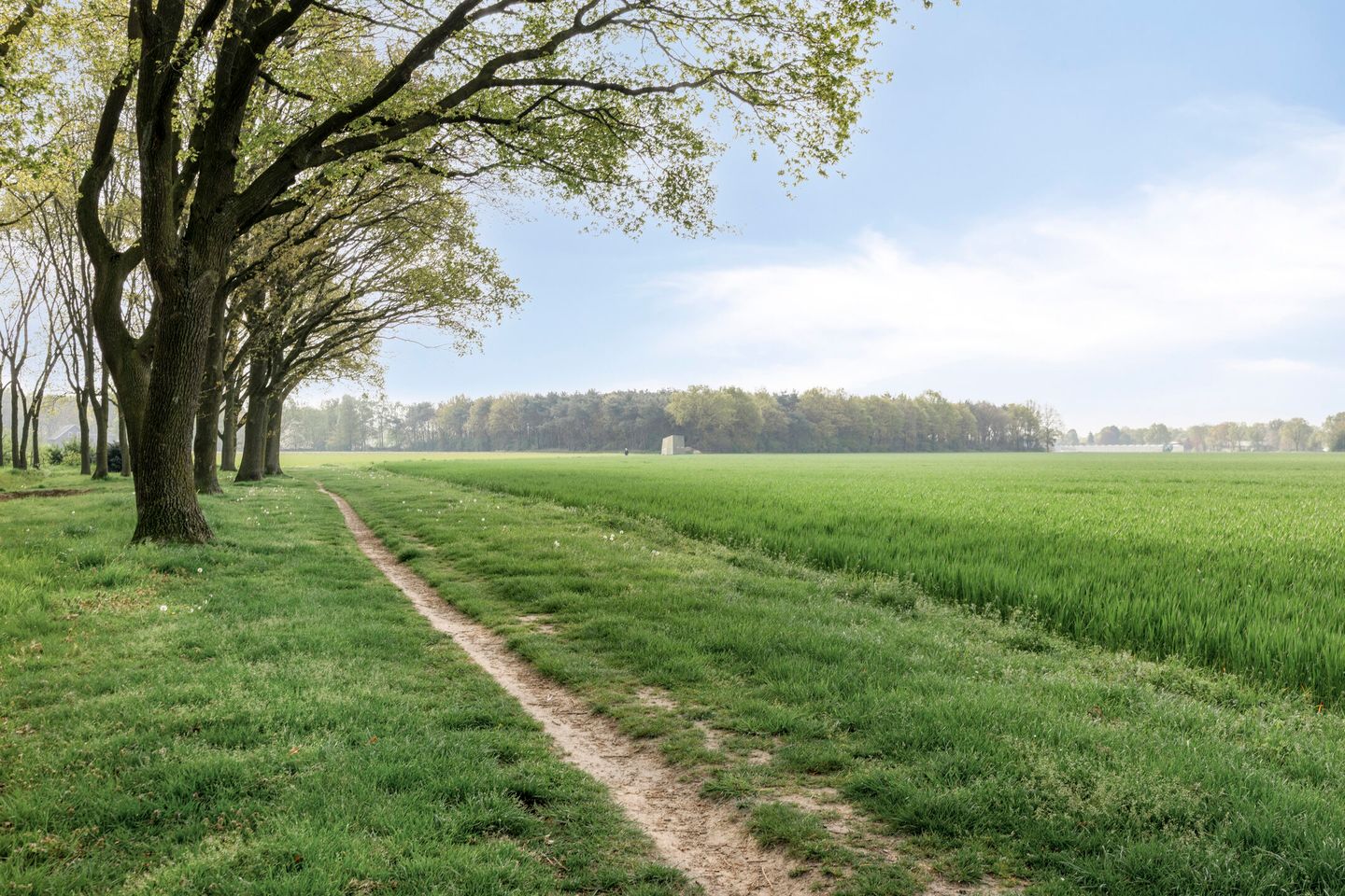 Foto 50 van Elzenhof 15