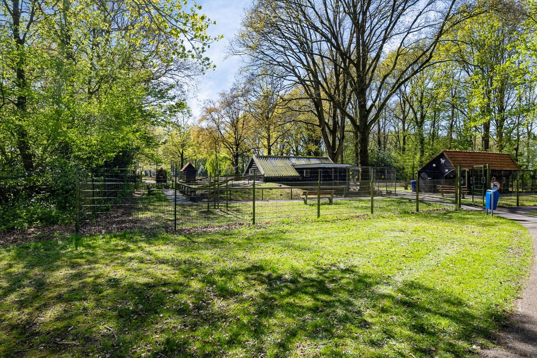 Photo 38 of Beukenlaan 12