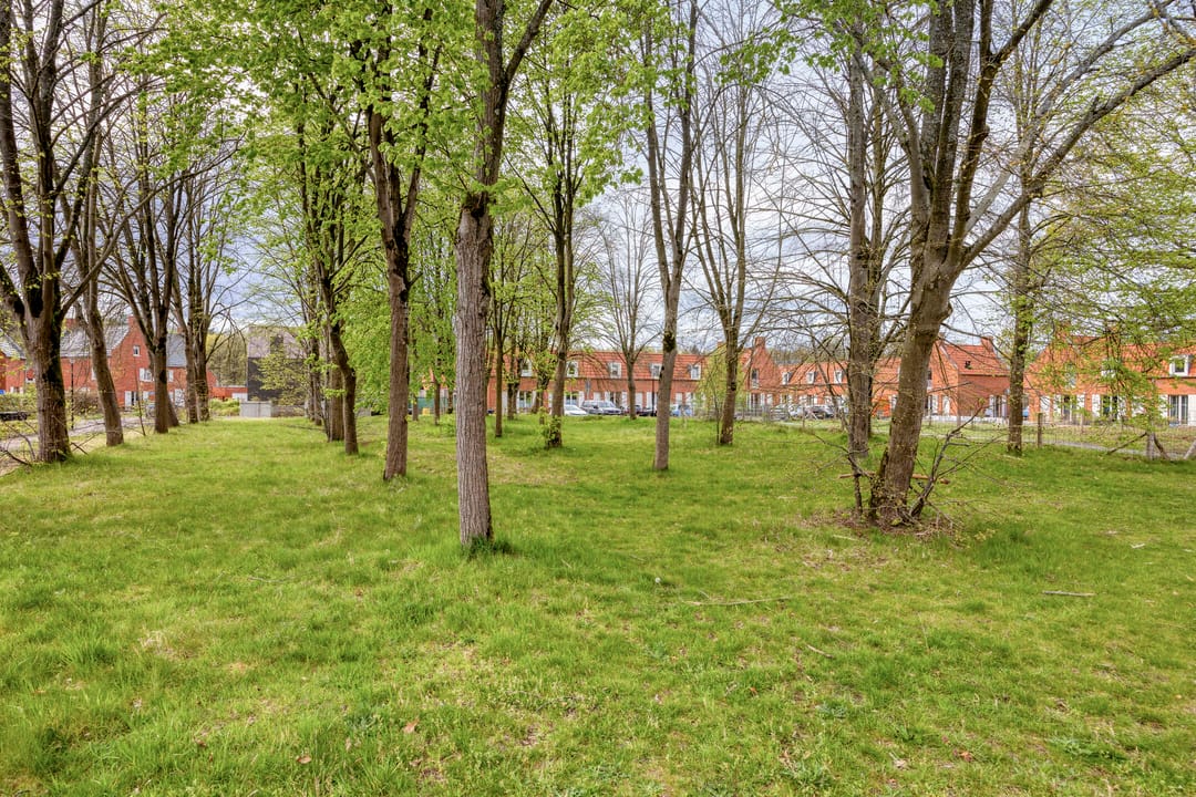 Foto 37 van Evert van 't Landstraat 21