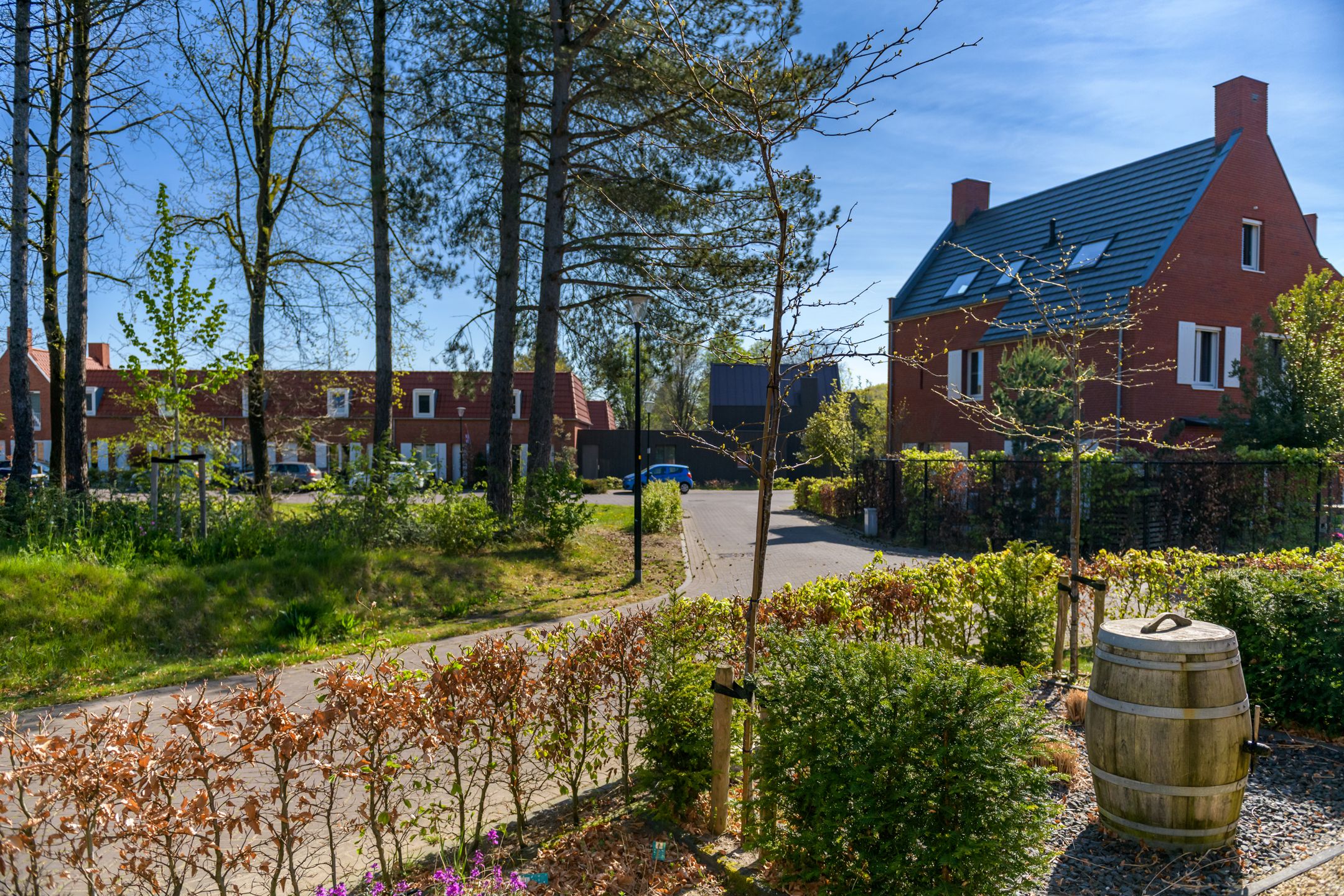 Foto 15 van David Goskerstraat 2