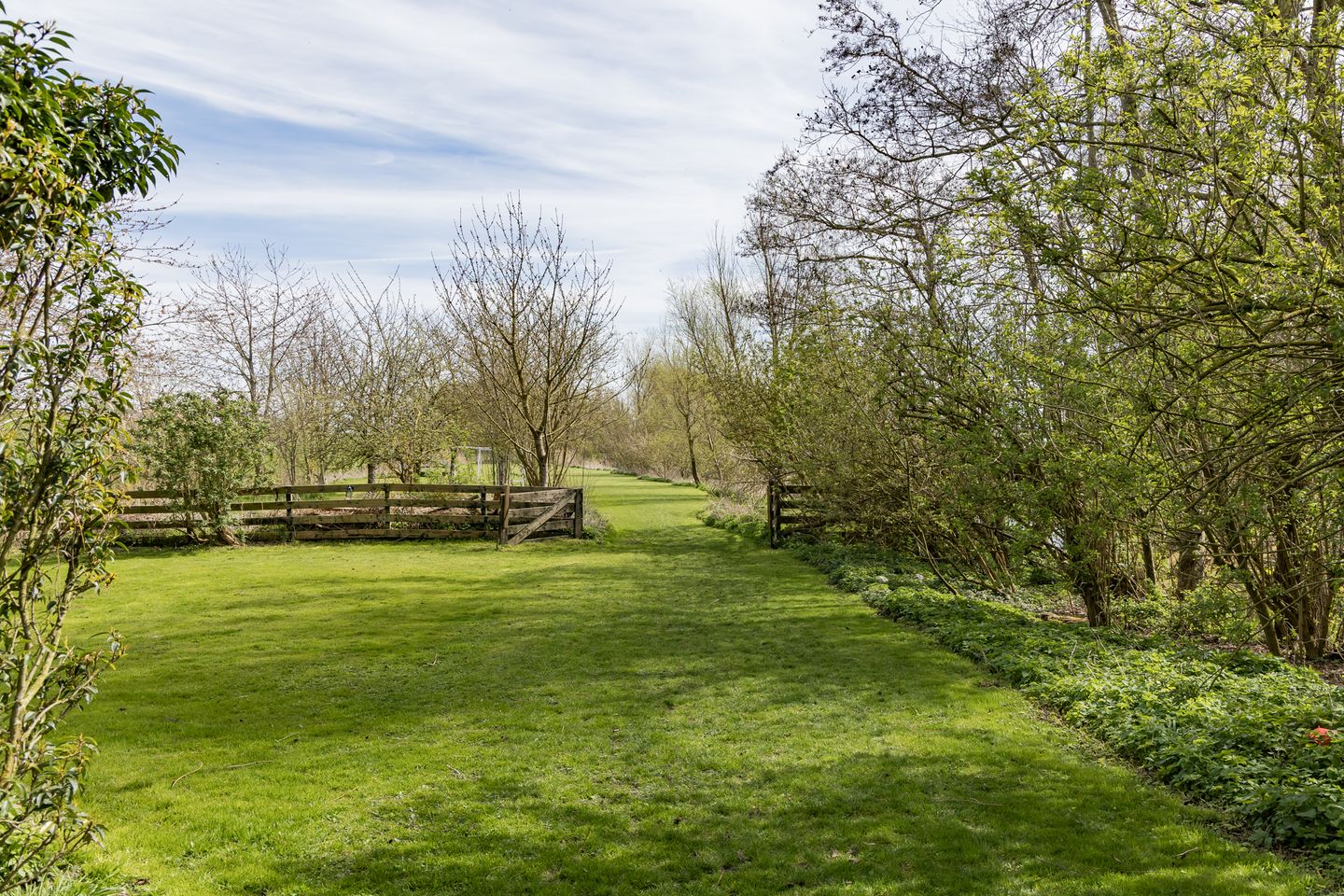 Photo 34 of Mieldijk 1