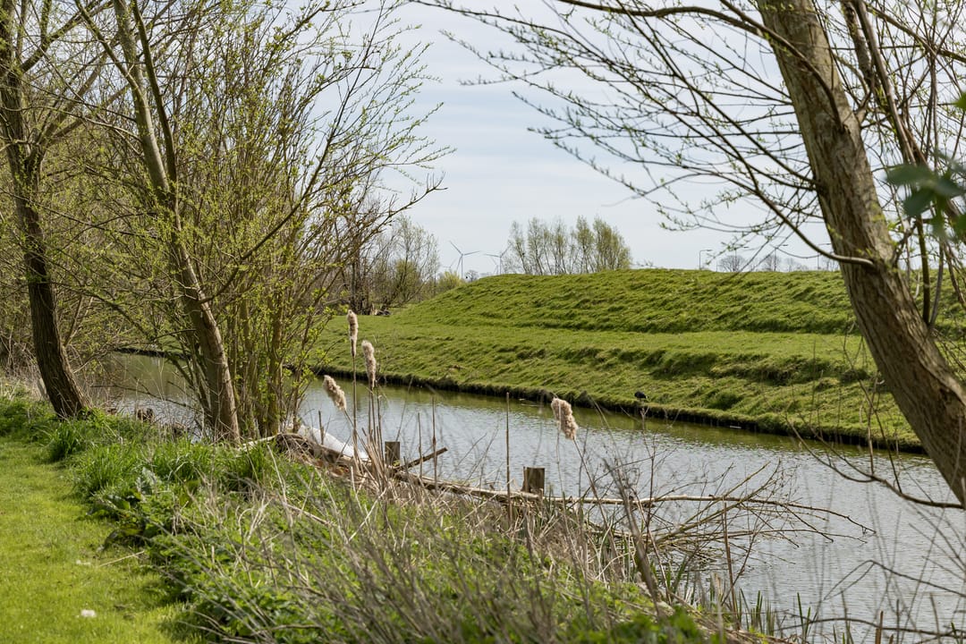Photo 41 of Mieldijk 1