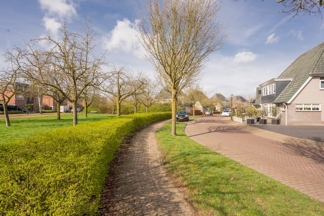 Photo 56 of Boterbloem 25