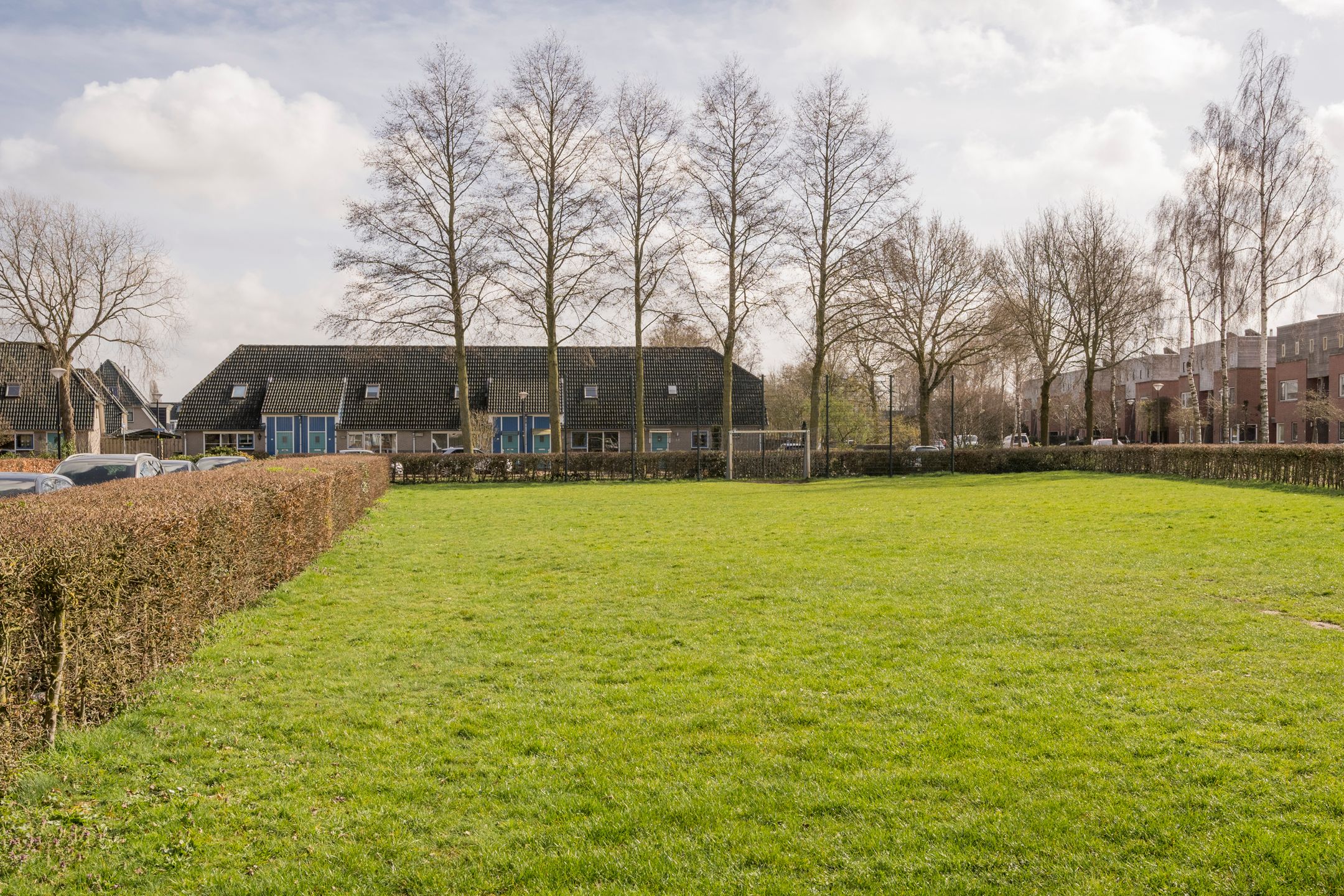 Photo 57 of Boterbloem 25